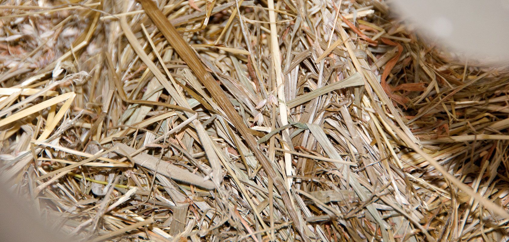 L&auml;ngere Lieferzeiten: Jetzt rechtzeitig bestellen!