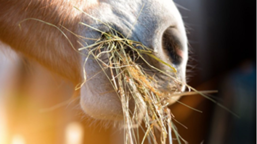 Alles wird teurer: &hellip;nur unsere leckeren Produkte von Luckylage nicht!
