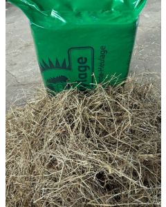 Luckylage Ballen II. Schnitt