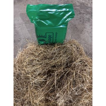 Luckylage Ballen I. Schnitt