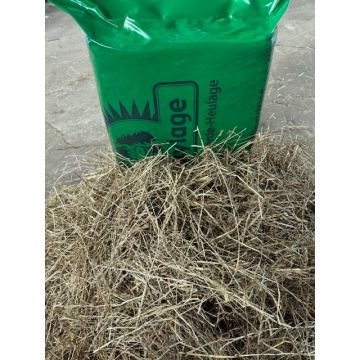 Luckylage Ballen II. Schnitt